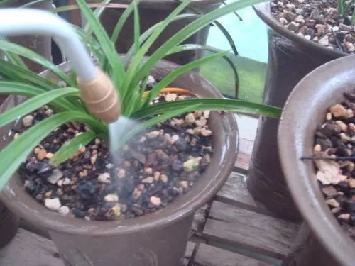 名称陷阱，避免上当受骗