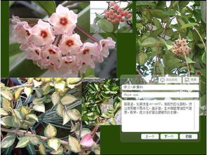 食品工业，独特风味