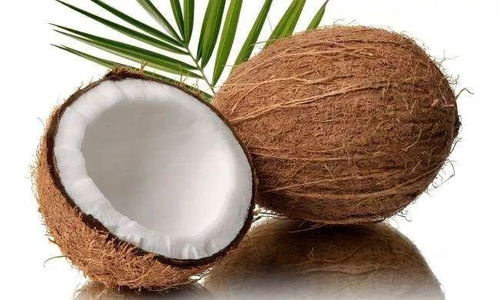 椰子种植适合使用什么类型的肥料？