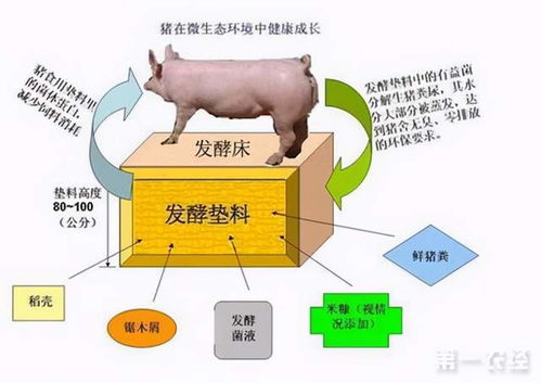 养猪环保成本需建立分摊机制，应对第三风险挑战