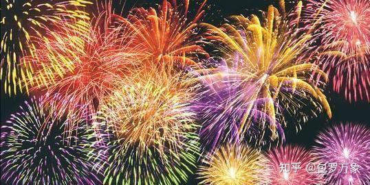 节日礼花营养杯苗的优惠信息