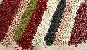 白粉病的种类与影响