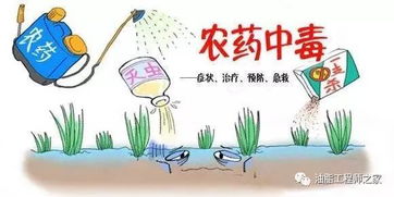 除草剂，该何去何从