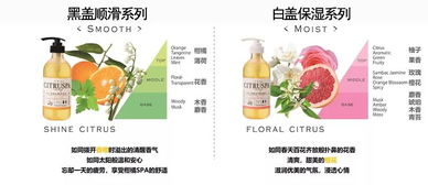 松花菜白斑问题， 菜农愁眉不展