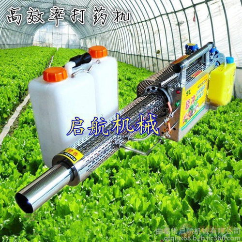 进口品牌大显神通