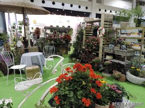 上海：非洲菊、 康乃馨的乐园