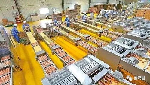 正大饲料厂在湖北到底有几个分厂呢？官网信息能否详细介绍一下？