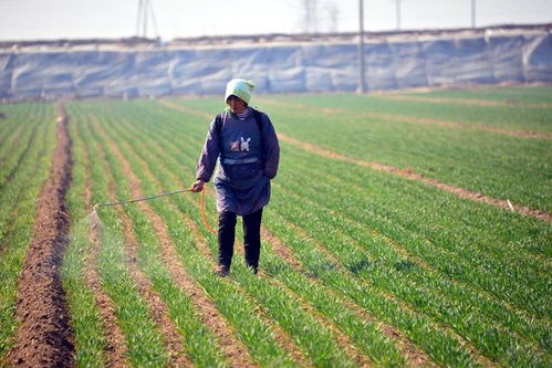 哎呀，别急，慢慢来总会有办法的