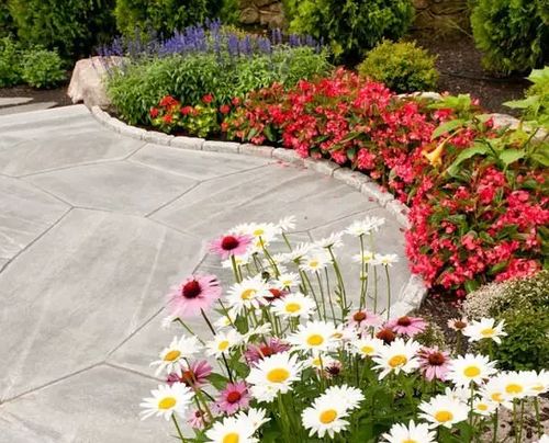 春季种植百合全攻略：打造完美花坛的秘诀