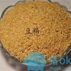 熟豆粕和生豆粕有什么区别？如何辨别两者？