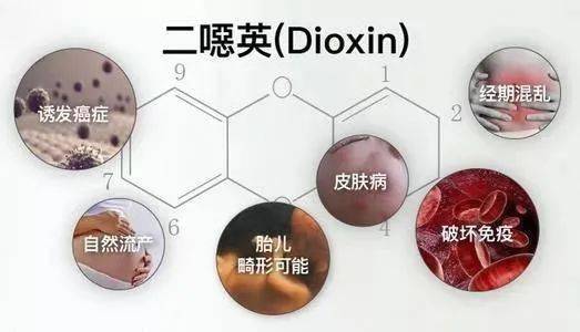 对中枢神经系统的影响