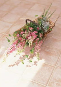 你知道吗？植物之间也会沟通，堪堪它们是如何交流的！