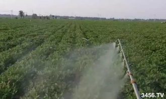 使用时机和次数， 要记牢