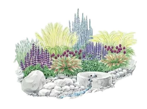 观赏草， 色彩的小魔术师