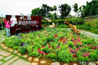 农作物与乔木品种