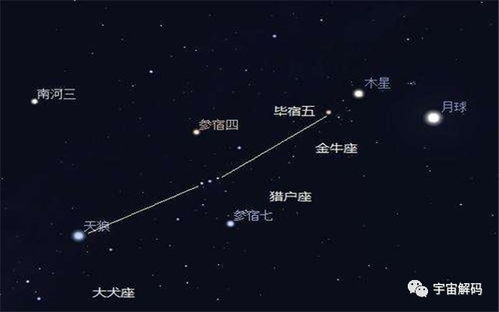 品种特点， 细数那些让人着迷的地方