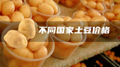 洋芋是土豆吗？它们有什么区别