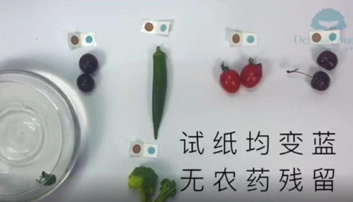 热水泡一泡，细菌全泡跑？