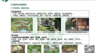 风景园林：不只是园艺那么简单