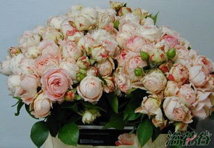 优点：美丽与实用的结合