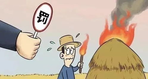 案例对比：正确与错误的区别