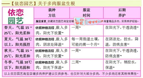 黄丽多肉养护指南：了解黄丽多肉的定义及基础养护方法