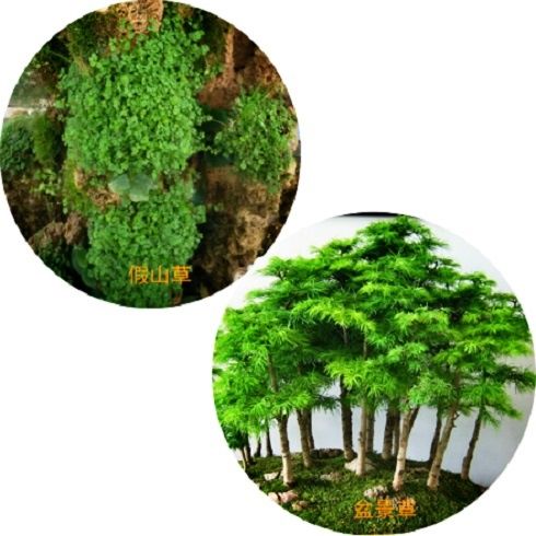 上水石盆景的制作程序，主要包括总体构思、石料加工、试作布局、栽种树木、安置摆件等。