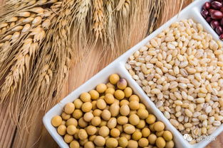 品质下降：白粉病的隐患