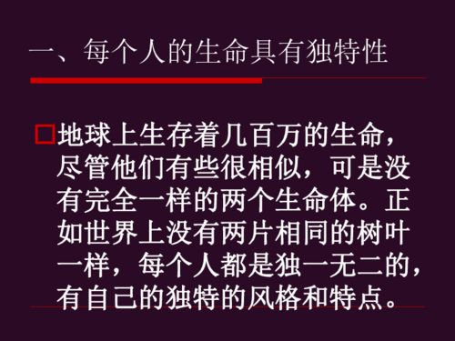 树籽手链：掌中的生命年轮， 探寻人生的奥秘