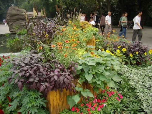 园林花境色彩配置，打造美丽花境的秘诀