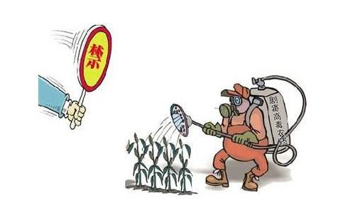 家庭矛盾：悲剧的导火索