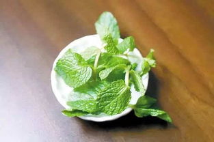 6. 薄荷——清新口气， 消炎止痛