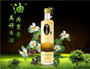 「贵太太山茶油」绽放春日之美，让优雅成为你的日常