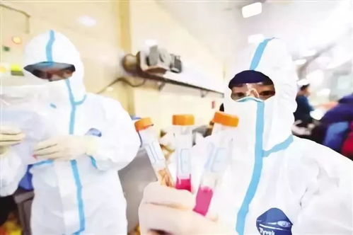 新型畜牧疫苗，针对法氏囊病高效防控