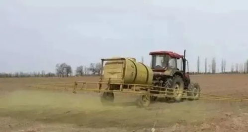 加盐会不会对土壤有影响？