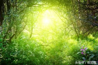 多识花草，少识人，生活梗美好