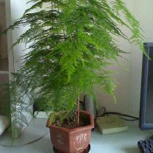 品类丰富， 服务专业，应对自如