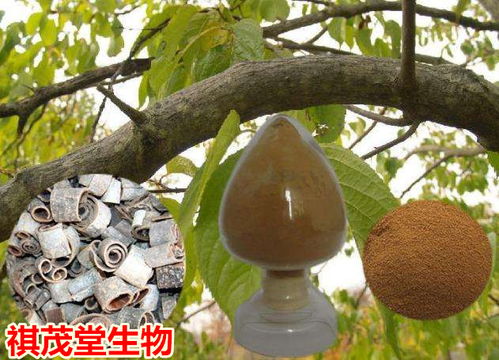 杜仲提取物助养殖，肉质更佳