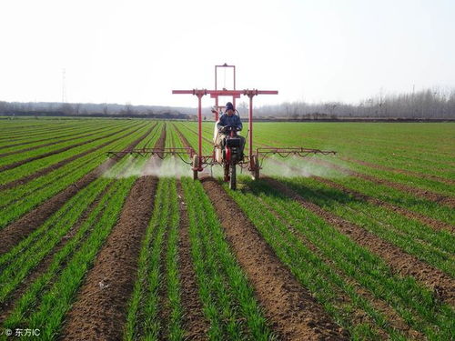 蓝田除草剂，效果如何？