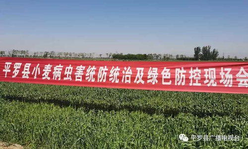 园林常用农药品牌大盘点