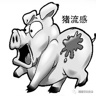 昼夜温差大，猪流感来袭，如何快速防控降低伤亡？