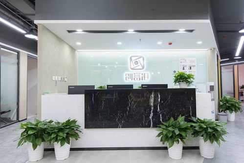 创业团队的选择：灵活与经济的平衡