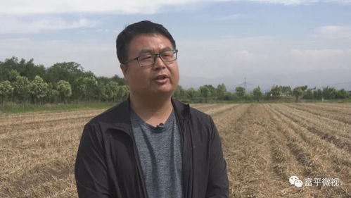 三、 防范及缓解措施