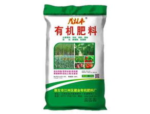 揭秘：广西河池茶油一斤价格是多少？一升多少钱？