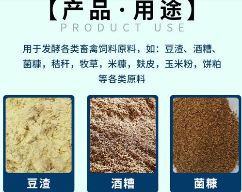 饲料发酵过程中，常用的发酵菌种有哪些？