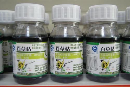 百草枯中毒，哪种中药Neng解毒？