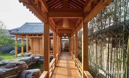 传统元素的新诠释