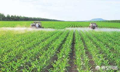 硝酸铵钙的含氮量