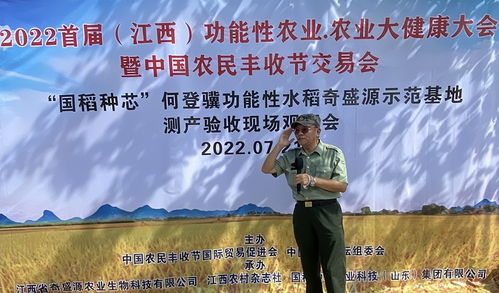 “高效抗逆新稻种，通育335引领农业新篇章