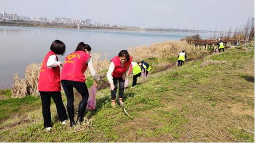 河边生态河岸，种什么花草好？